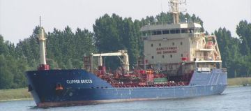 CLIPPER BRICCO